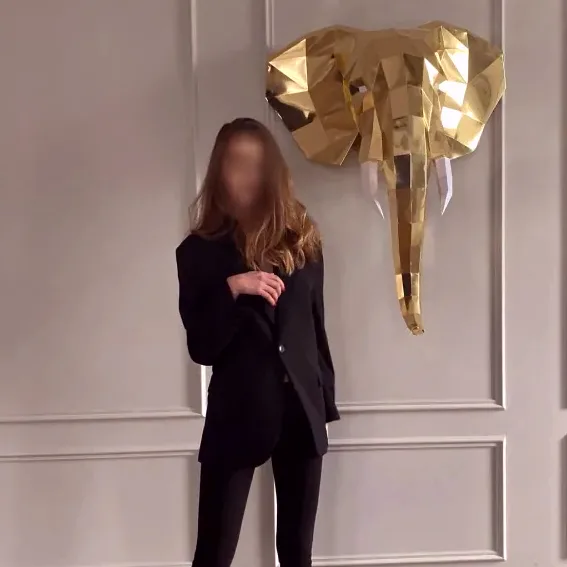 Hanne, 33